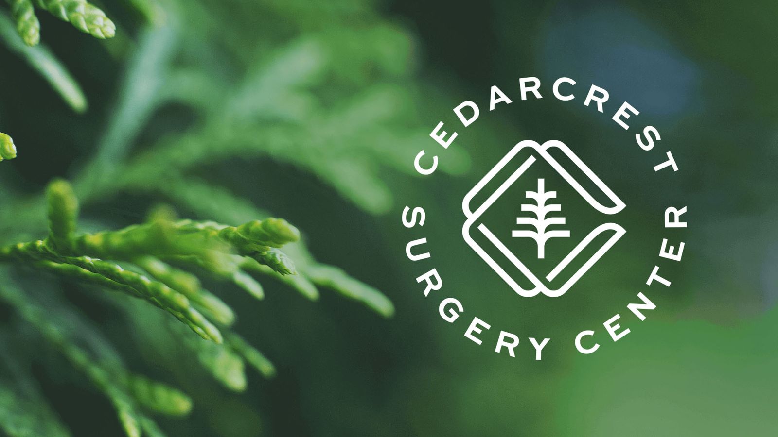 alt="CedarCrest Project Thumbnail"